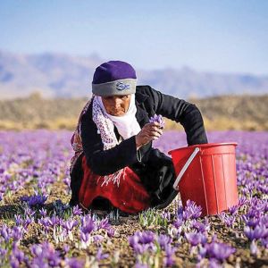 دسر گلابی فقط با ۴ مواد