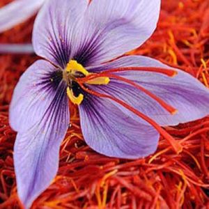 خواص زعفران برای لاغری