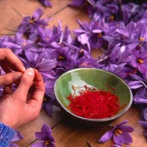 آشنایی با انواع زعفران