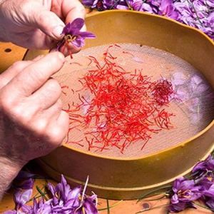 کاهش عوارض داروهای اعصاب با زعفران