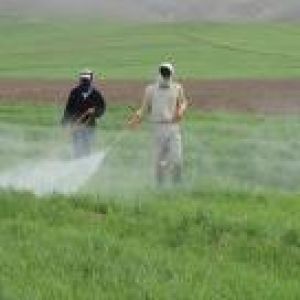 دستگاه محلول پاشی زعفران (بوم محلول پاشی زعفران)