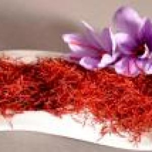 پایتخت طلای سرخ در حال برداشت زعفران
