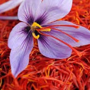 کروسین زعفران(رنگ زرد زعفران)
