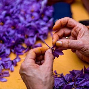 شرایط بسته بندی زعفران در خانه