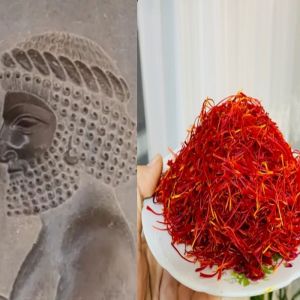 تاریخچه زعفران در ایران