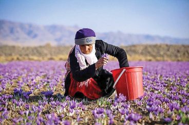 دسر گلابی فقط با ۴ مواد
