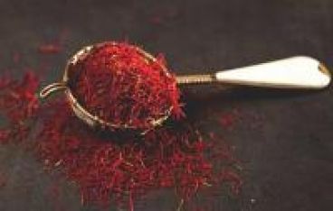 کاشت زعفران در پشت بام؛ کسب سود یا ضرر؟