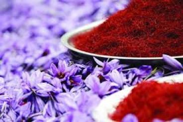 کروسین زعفران(رنگ زرد زعفران)