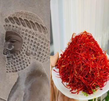 تاریخچه زعفران در ایران