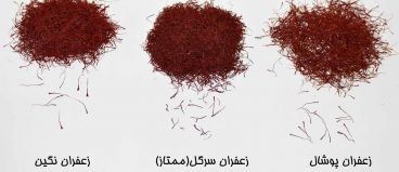 انواع زعفران و تفاوت‌های آن‌ها + روش‌ تشخیص